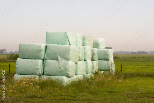 Photo: Piled bales harvested dry grass wrapped in plastic film Piled bales harvested dry grass wrapped in plastic film