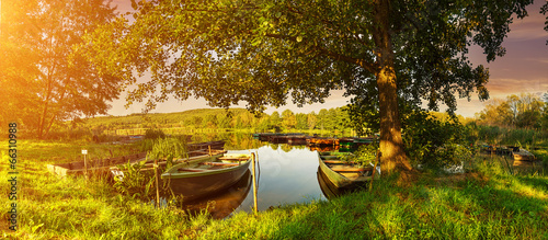 Under the trees, boats in the harbor at Lake