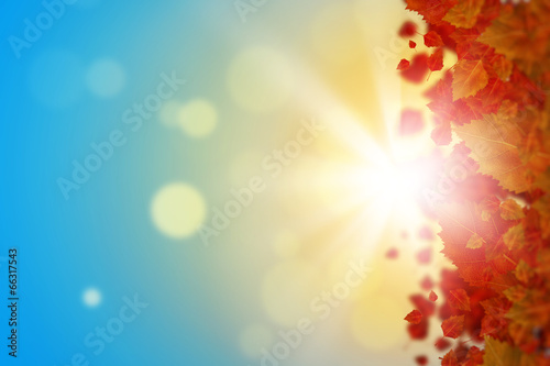 Photo: Autumn background Autumn background