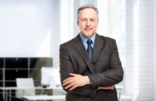Photo: Mature businessman portrait Mature businessman portrait