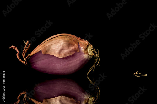 Photo: Shallot Shallot