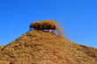 Hackschnitzel verladen Hackschnitzel verladen