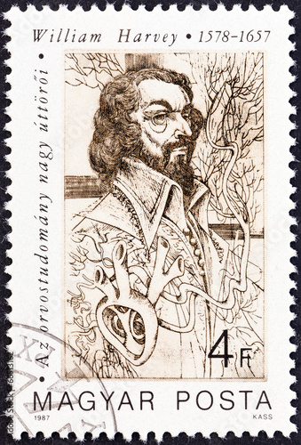 Illustration: William Harvey (Hungary 1987) William Harvey (Hungary 1987)