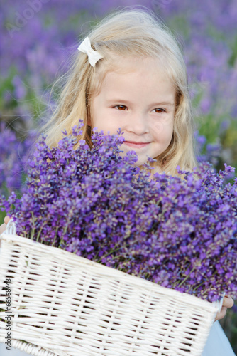 Photo: toddler girl with lavender toddler girl with lavender