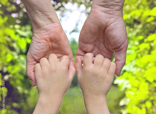 Photo: palm family, mother, father and daughter palm family, mother, father and daughter