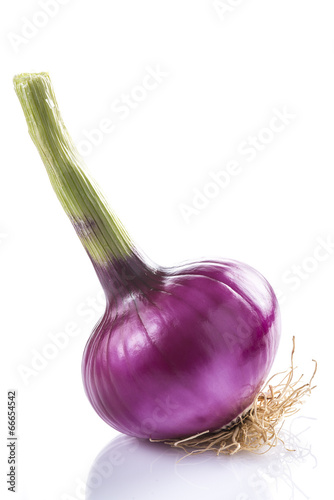 Photo: Cebolla roja o morada aislada sobre fondo blanco Cebolla roja o morada aislada sobre fondo blanco