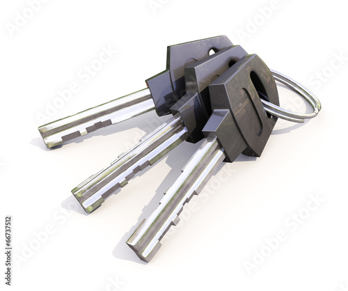 Illustration: Bunch of house keys Bunch of house keys