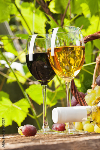 Photo: Red and white wine Red and white wine