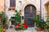 Elegante porta di legno