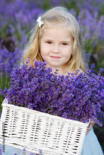 Photo: girl in lavender field girl in lavender field
