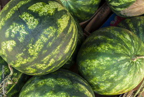 Photo: Watermelon Macro Watermelon Macro