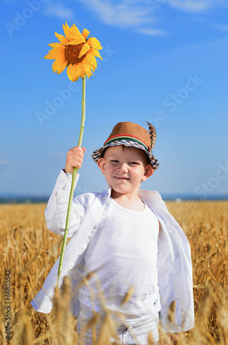 Photo: Boy holding a sunflower in the middle of a field Boy holding a sunflower in the middle of a field
