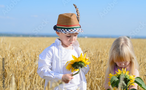 Photo: Little girl and boy examining yellow sunflowers Little girl and boy examining yellow sunflowers