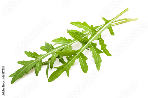 Photo: Arugula Arugula