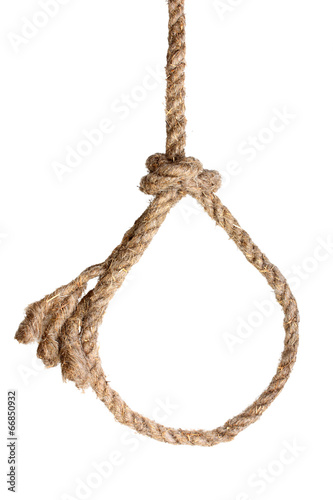 Photo: Rope noose on white Rope noose on white