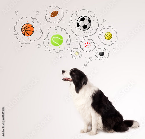 Photo: Cute dog with balls in thought bubbles Cute dog with balls in thought bubbles