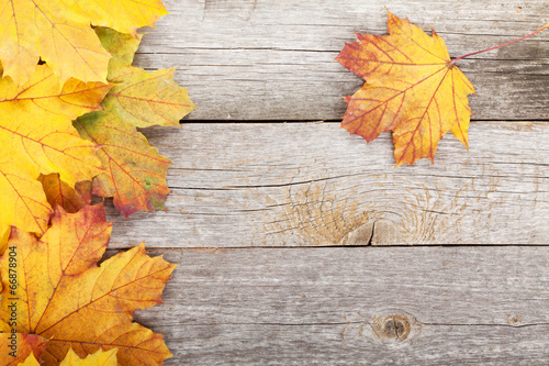 Photo: Colorful autumn maple leaves Colorful autumn maple leaves