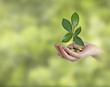 Investing to green business Investing to green business