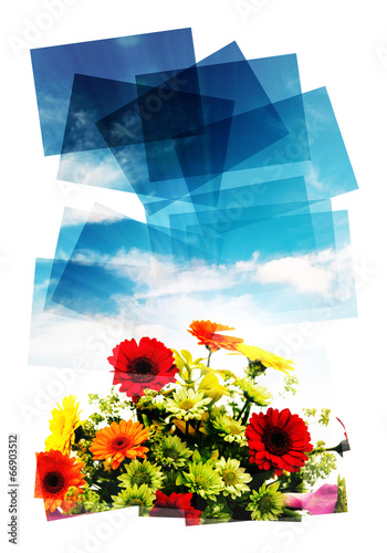 Photo: collage flowers collage flowers
