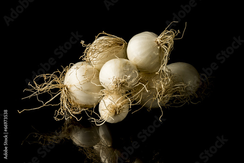Photo: White Onion White Onion