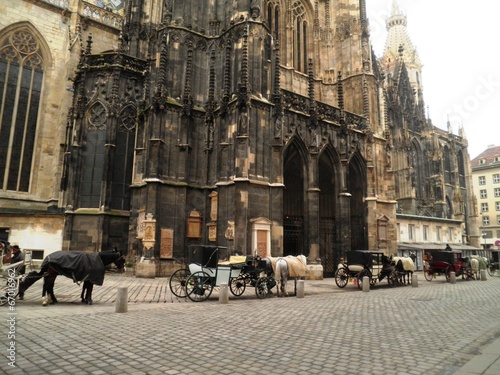 Photo: Horse Carriages Vienna Horse Carriages Vienna
