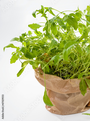 Photo: Rucola Rucola