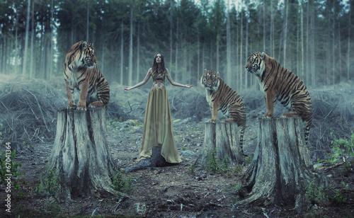 Photo: Attractive female trainer with the tigers Attractive female trainer with the tigers