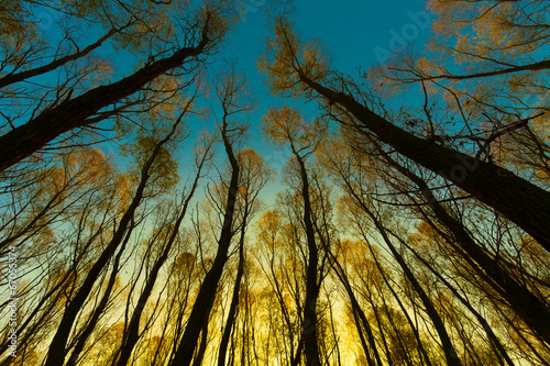 Photo: Landscape of morning sunrise Landscape of morning sunrise
