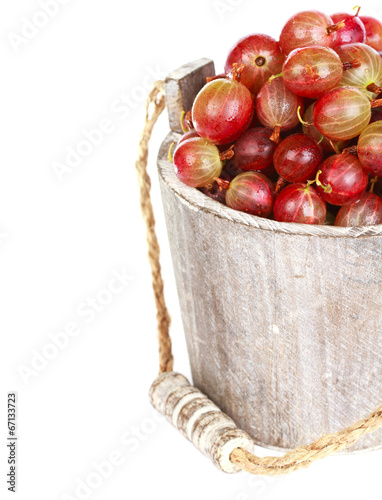 Photo: Ripe gooseberry in wooden bucket on white background Ripe gooseberry in wooden bucket on white background