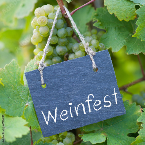 Photo: Weinfest Weinfest