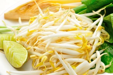 Mung beans or bean sprouts on white plates