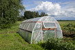 greenhouse hothouse in summer farm garden greenhouse hothouse in summer farm garden