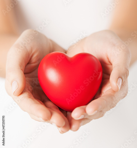 Photo: female hands with small red heart female hands with small red heart