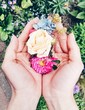 Hände halten Blumen Hände halten Blumen
