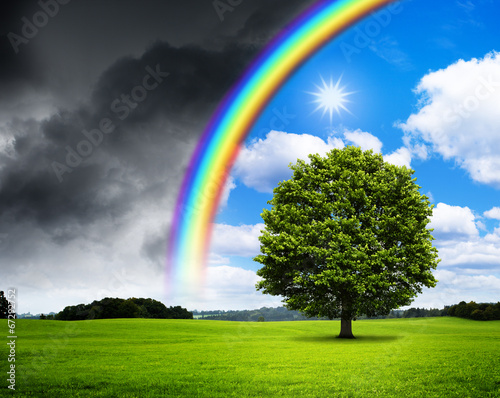 Photo: Eiche mit Regenbogen Eiche mit Regenbogen
