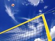 beach volleyball in the summer beach volleyball in the summer