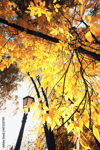 Photo: Indian Summer Indian Summer