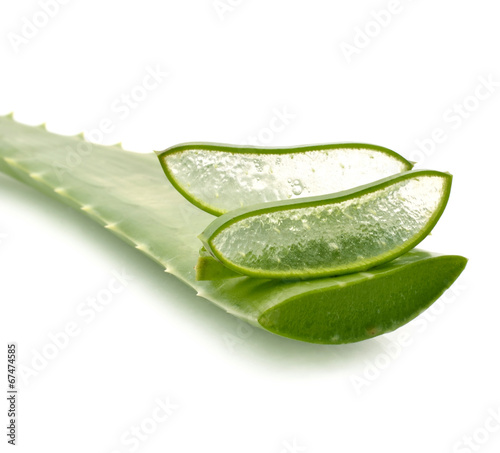 Photo: aloe vera fresh leaf. isolated over white aloe vera fresh leaf. isolated over white