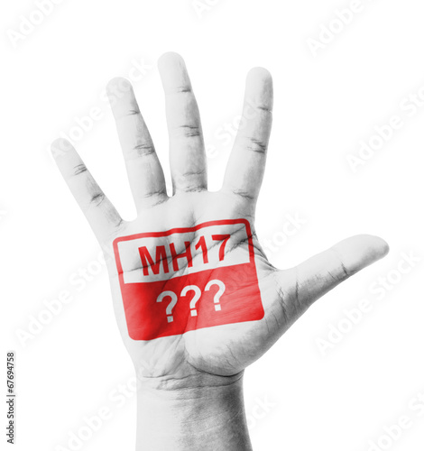 Photo: Open hand raised, MH17 sign painted Open hand raised, MH17 sign painted