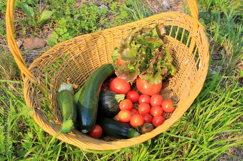 Photo: vegetables vegetables