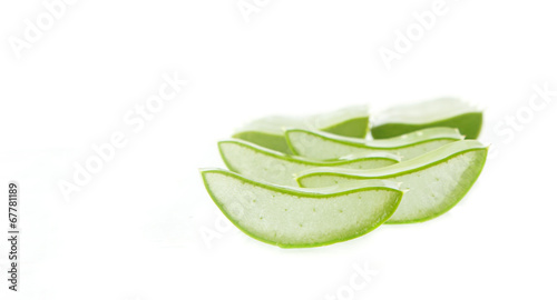Photo: Aloe vera plant on white Aloe vera plant on white