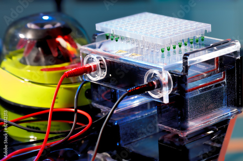 Photo: Electrophoresis chamber Electrophoresis chamber