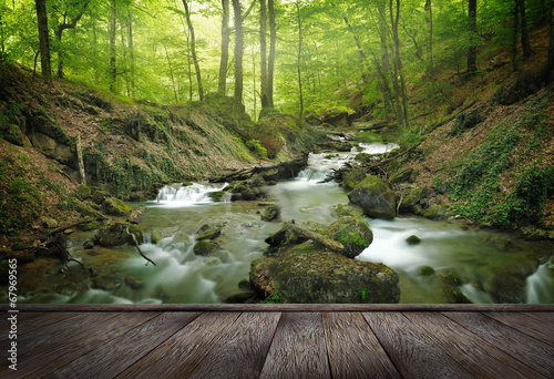Photo: forest waterfall forest waterfall