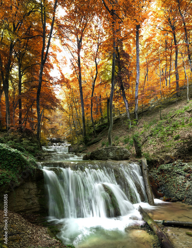 Photo: forest waterfall forest waterfall