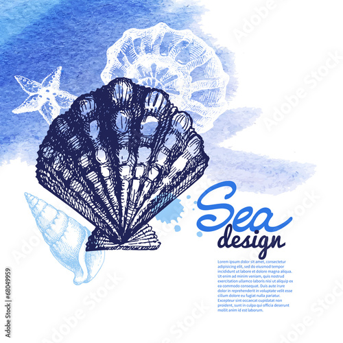 Vector: Seashell background. Sea nautical design. Seashell background. Sea nautical design.