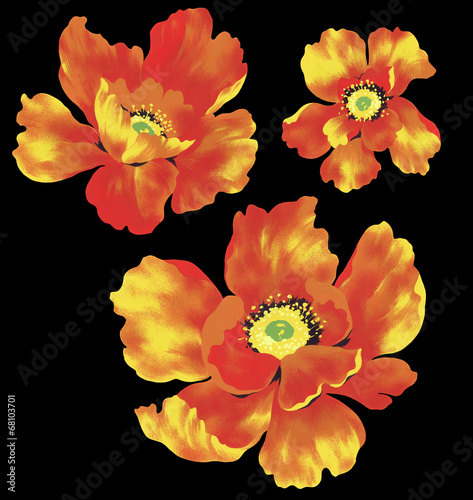 Illustration: 花素材 花素材