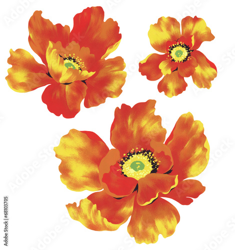 Illustration: 花素材 花素材