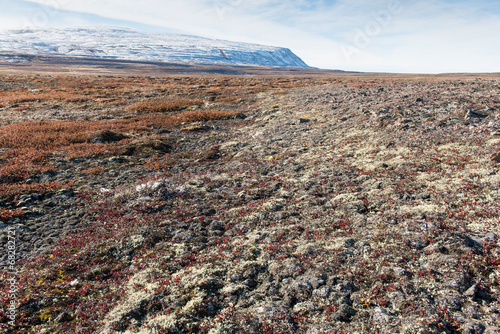 Photo: Arctic landscape in summer Arctic landscape in summer