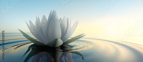 Fototapeta Lotusblüte im See