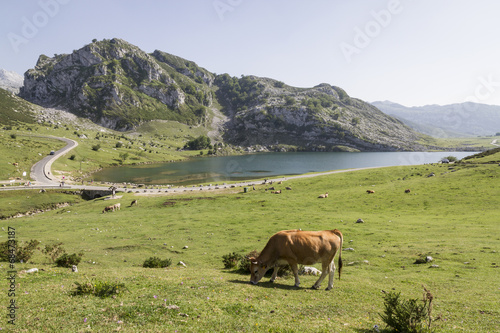 Photo: Lagos de covadonga Lagos de covadonga